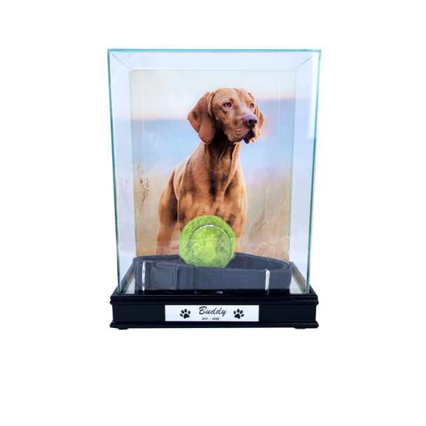 Pet Memorial Display Case with 8x10 Photo Print in The Back and Custom Engraving