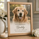 Personalized Pet Memorial Canvas Print - Framed