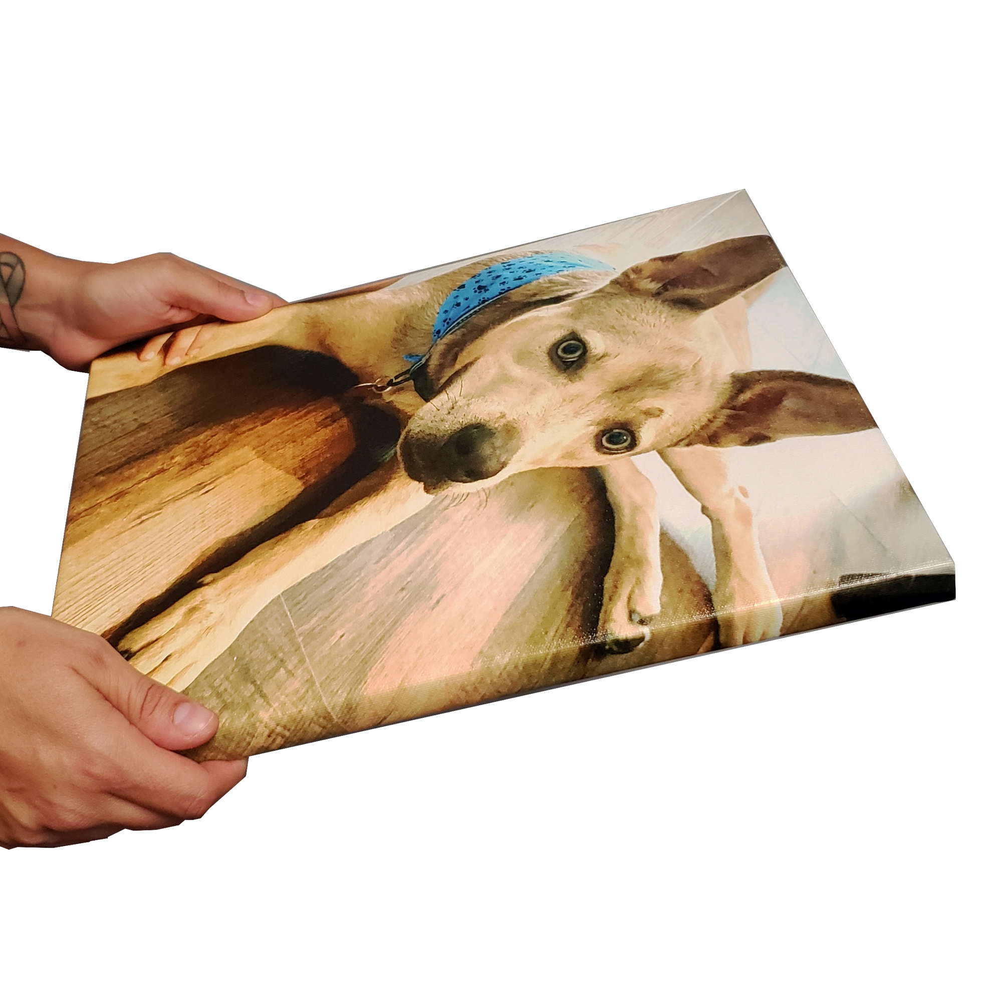 Wrapped Canvas Prints Perfect Cases and Frames