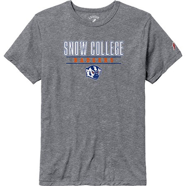 Heather Grey Victory Falls Tee