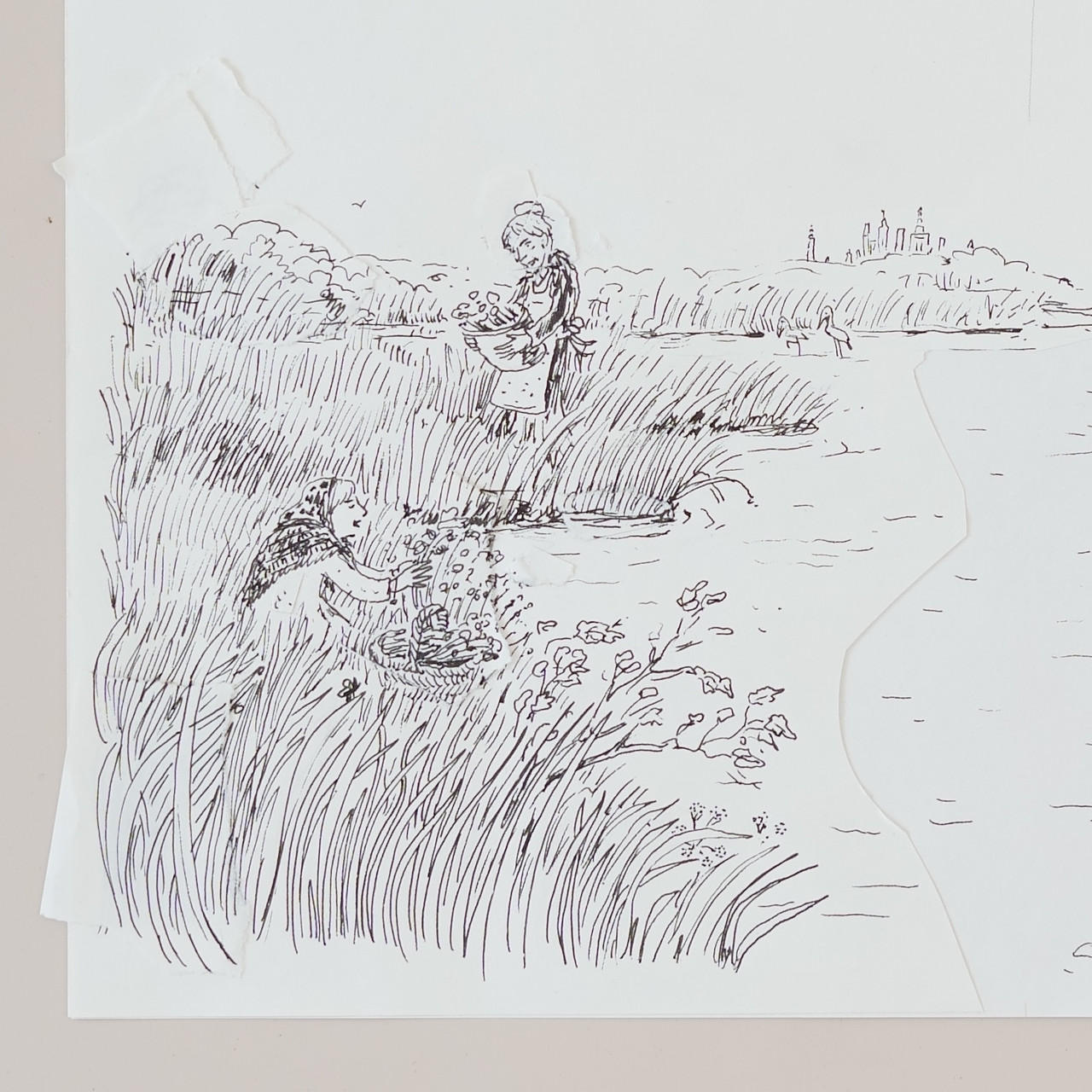 Ladies collecting flowers in Marsh