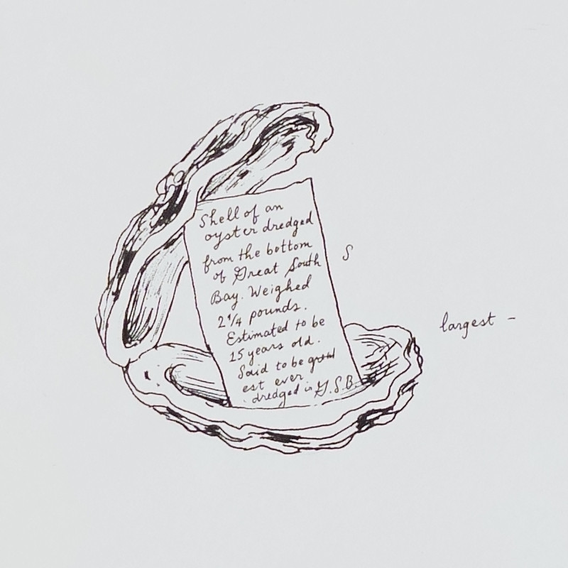 Oyster With Letter 2025