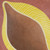 Shell Pasta on Rose, Detail