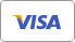 Visa Logo