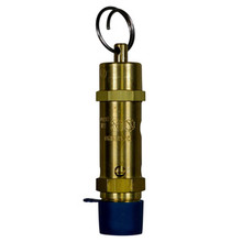 Valve, Relief 165PSIG, .500X . , BRS, CER, material number 3163443, Hankison