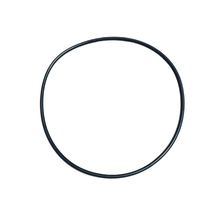 Viton Bulk Loader Gasket BL-VG