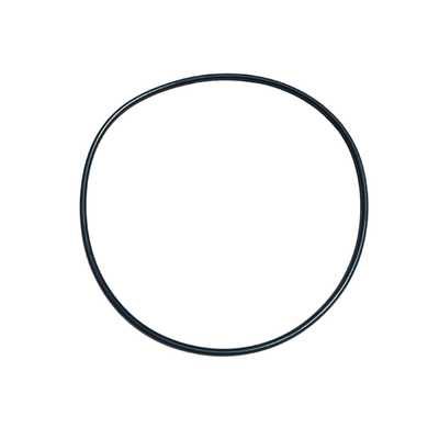 Viton Bulk Loader Gasket BL-VG