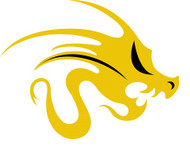 Get to know Steel Dragon Tools