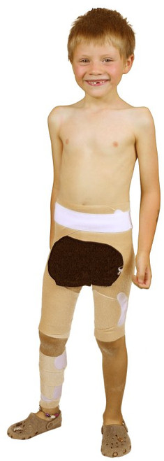 Lower Extremity System