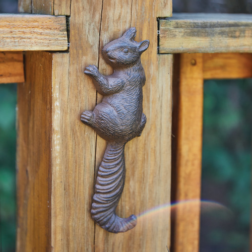 Climbing Squirrel Wall Hook - Box of 2 Climbing Squirrel Wall Hook - Box of 2