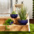 Ocean Blue Planter Trio