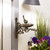 Wall Mounted Ornate  Cast Iron Bird Feeder