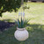 Handcrafted Clay Water Pot Planter - Rustic Garden Decor with Drainage Hole
