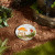 Welcome Friends Garden Stepping Stone - Outdoor Decorative Pathway Stone Welcome Friends Garden Stepping Stone - Outdoor Decorative Pathway Stone