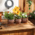 Set of 3 Brown Round Ceramic Small Planters - Ideal for Indoor Plants Set of 3 Brown Round Ceramic Small Planters - Ideal for Indoor Plants
