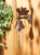 PIG WITH WINGS CAST IRON BELL PIG WITH WINGS CAST IRON BELL