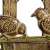 Wall Mounted Cast Iron Bird Feeder - Durable Outdoor Bird Feeding Station Wall Mounted Cast Iron Bird Feeder - Durable Outdoor Bird Feeding Station