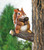 Gathering Squirrel Tree Decor Gathering Squirrel Tree Decor