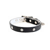 Buddy Belt Leather Dog Collars