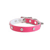 Buddy Belt Leather Dog Collars