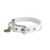 Buddy Belt Leather Dog Collars