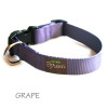 Webbing Collars and Leads