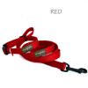 Webbing Collars and Leads