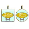 Teal Nameplate Silver Pet ID Tags