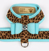 Cheetah/Tiffi Blue