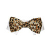 Roberto Bow Tie Collar