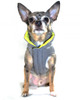Featherlite Reversible-Reflective Dog Puffer Vest (5 Colors!)