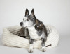 Corduroy Napper Dog Bed