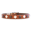 Heirloom Collection Studded Leather Collars