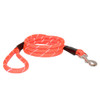 Reflective Rope Leashes