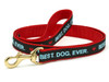 Best Dog Ever Dog Collar