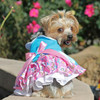 Pink and Blue Plumeria Floral Dog Dress with Matching Leash