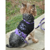 Too Cute to Spook Halloween Dog Harness