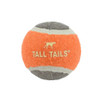 Sport Ball Dog Toy