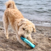 Mesh Frisbee Toy