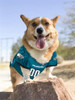 Philadelphia Eagles Mesh Jersey