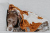Cowhide Fleece Blanket
