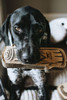 Natural Leather & Wool Love My Dog Log Toy