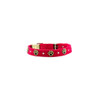 Susan Lanci Embroidered Paws Collar with Studs