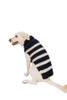 Alpaca Navy and Cream Striped Dog Sweater