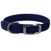 Susan Lanci Midnight Puparoxy Collar