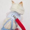 Louisdog Hangout Harness Set