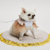 Louisdog Bebi Cape Harness Set