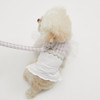 Louisdog Lilac Cape Harness Set