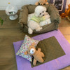 Louisdog Purple Square Rug