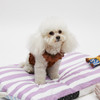 Louisdog Cacao Sleeveless Top